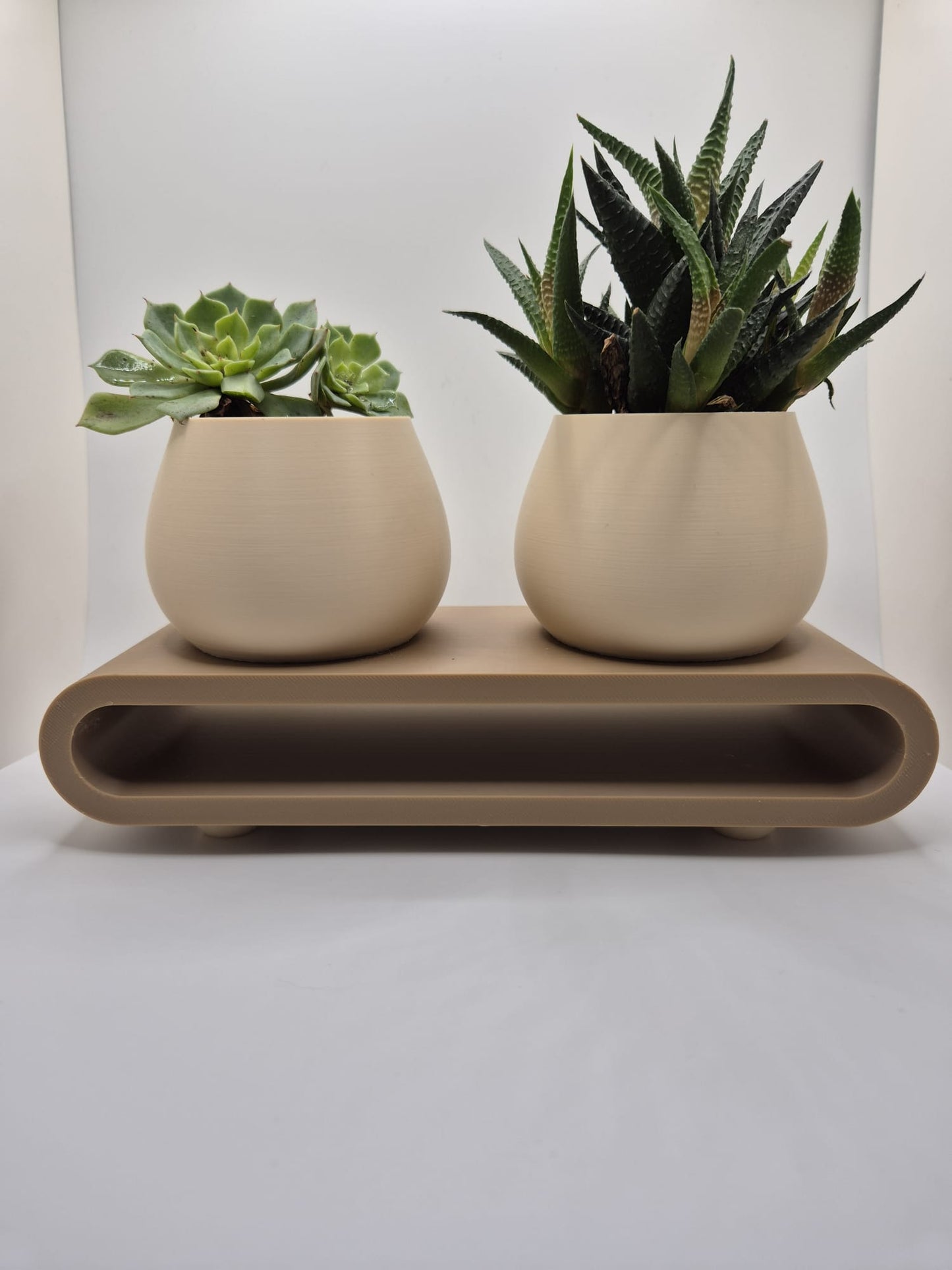 Serenity Duo Planter Set | Minimal Succulent Display