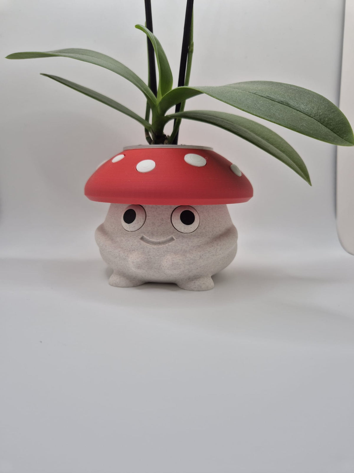 Toadstool Cuddles | Mini Mushroom Plant Pot