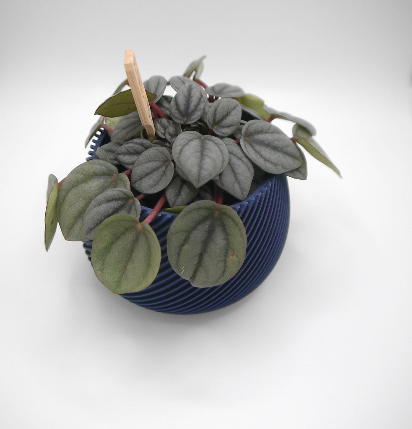 Round spiral ribbed plant pot