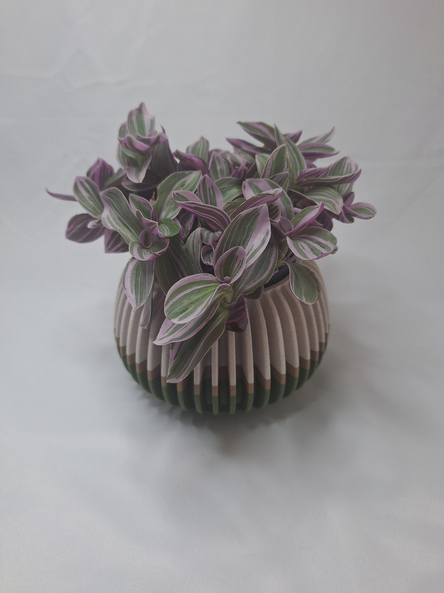 Verdanova Plant pot with removable drain