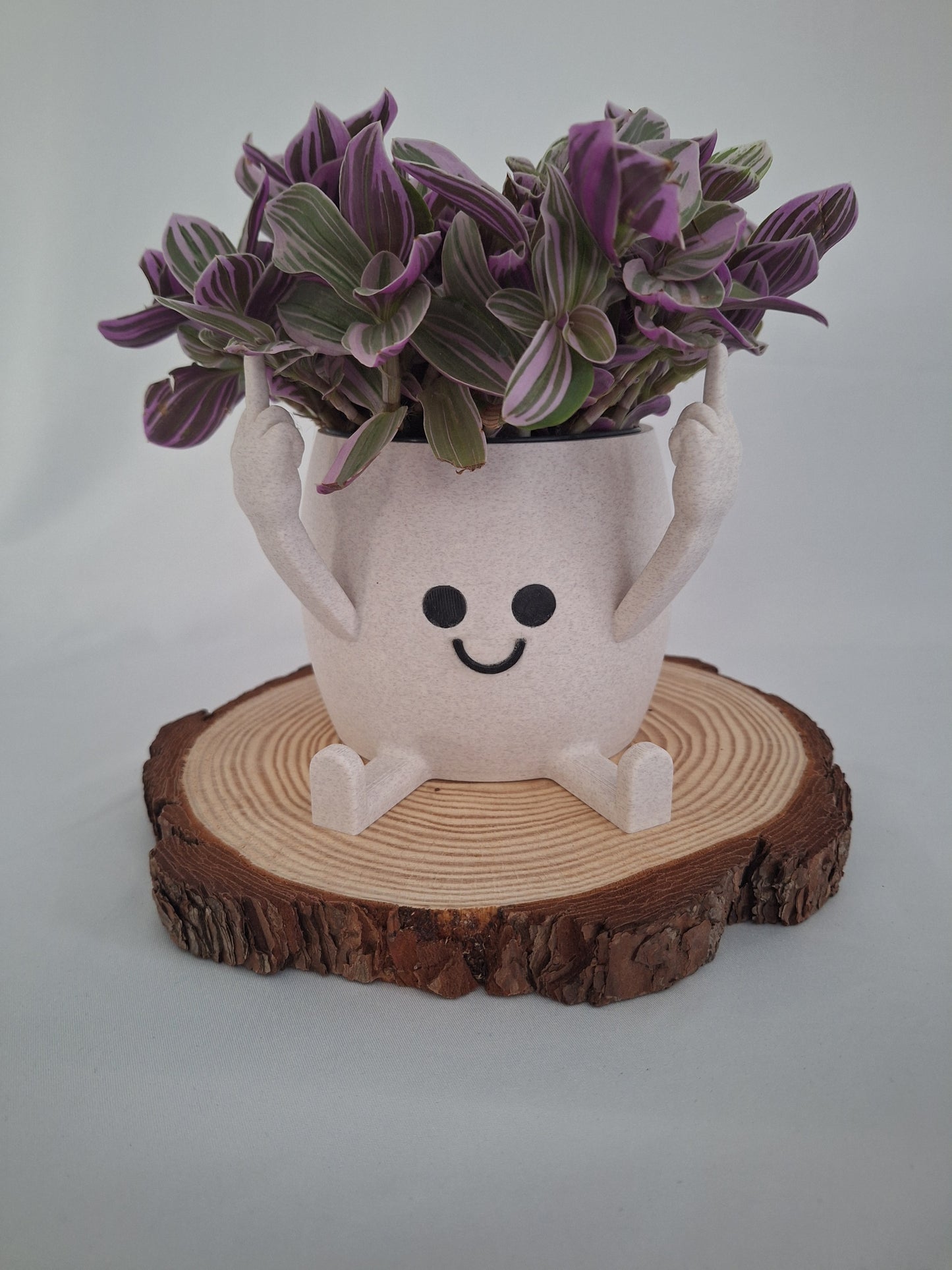 Happy Face "Middle finger" plant pot