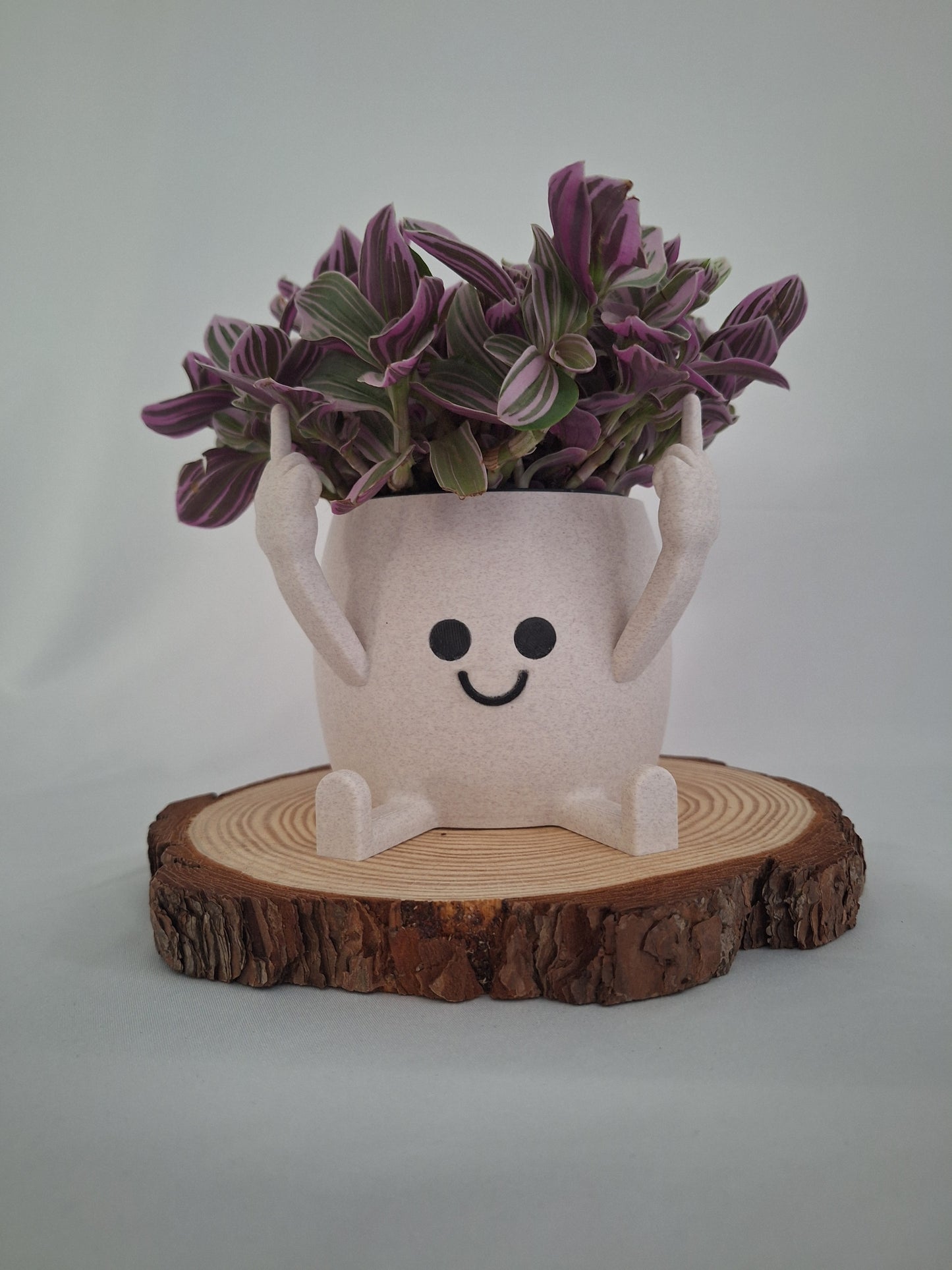 Happy Face "Middle finger" plant pot