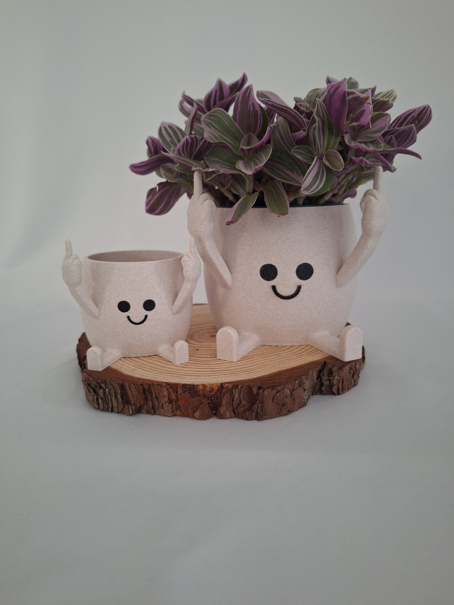 Happy Face "Middle finger" plant pot