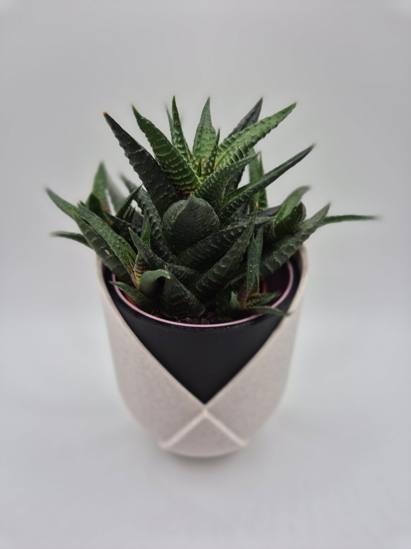 Tulip Layered 3D Printed Plant Pot | Customizable Colours UK