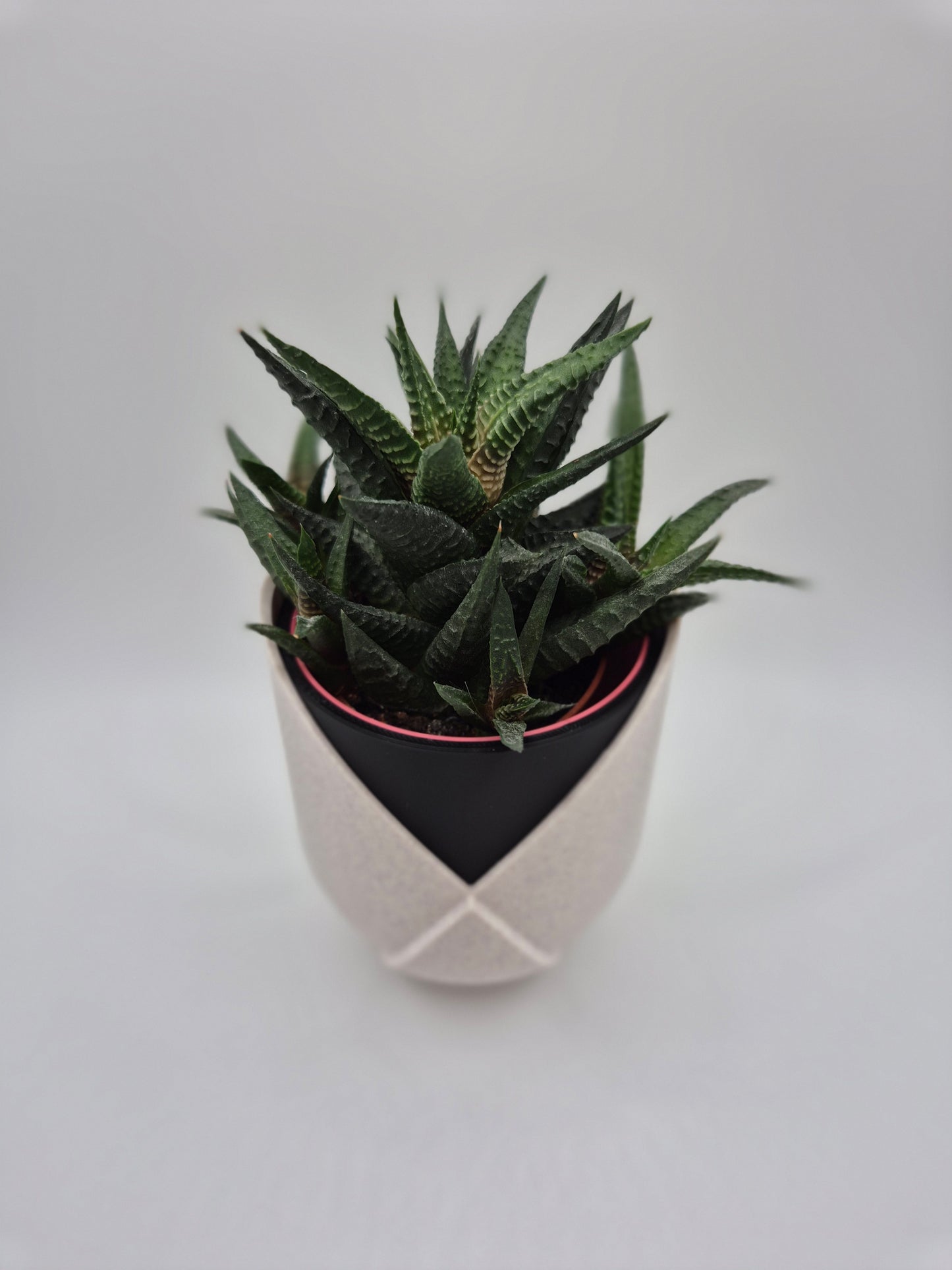 Tulip Layered 3D Printed Plant Pot | Customizable Colours UK