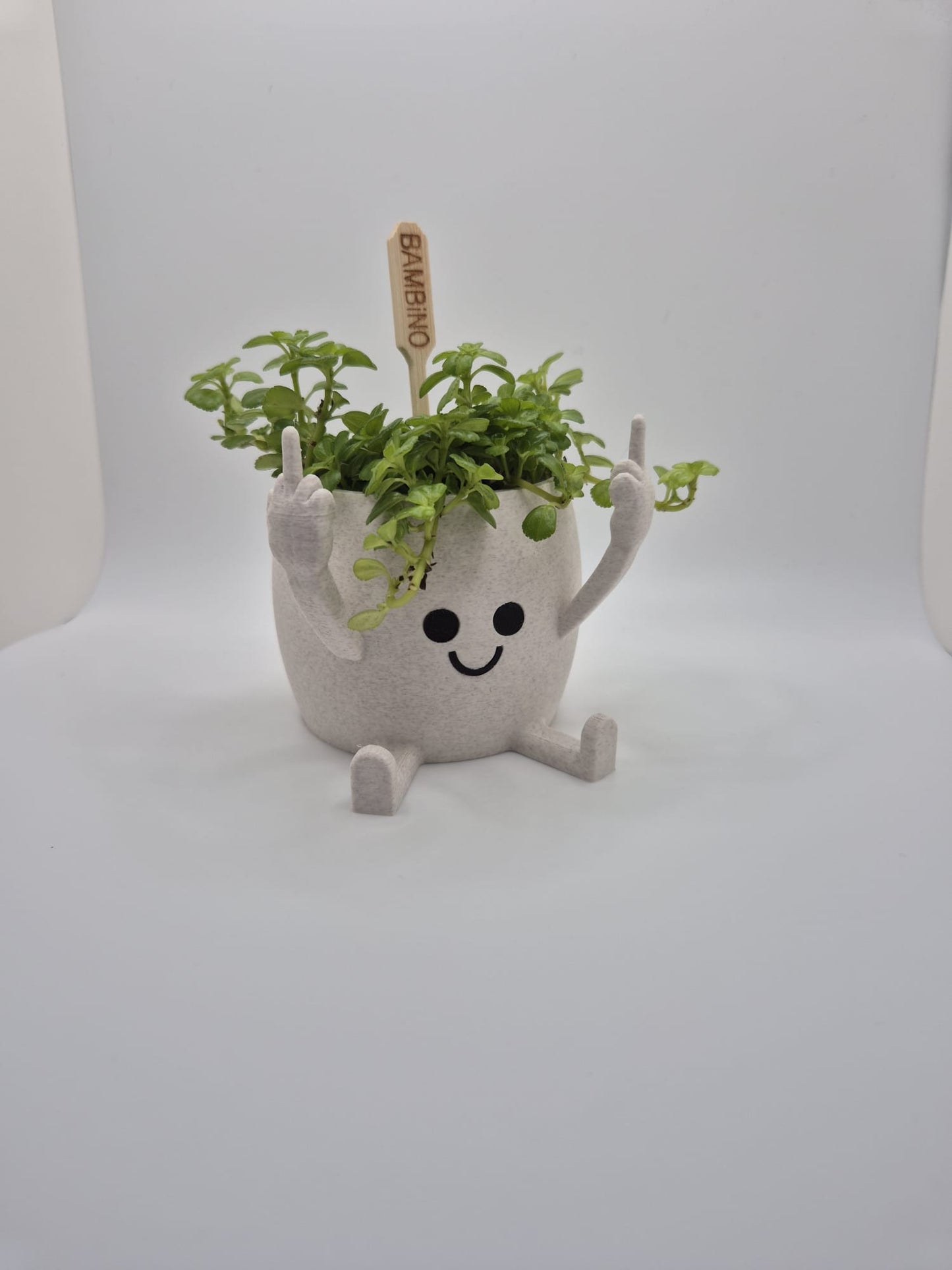 Happy Face "Middle finger" plant pot