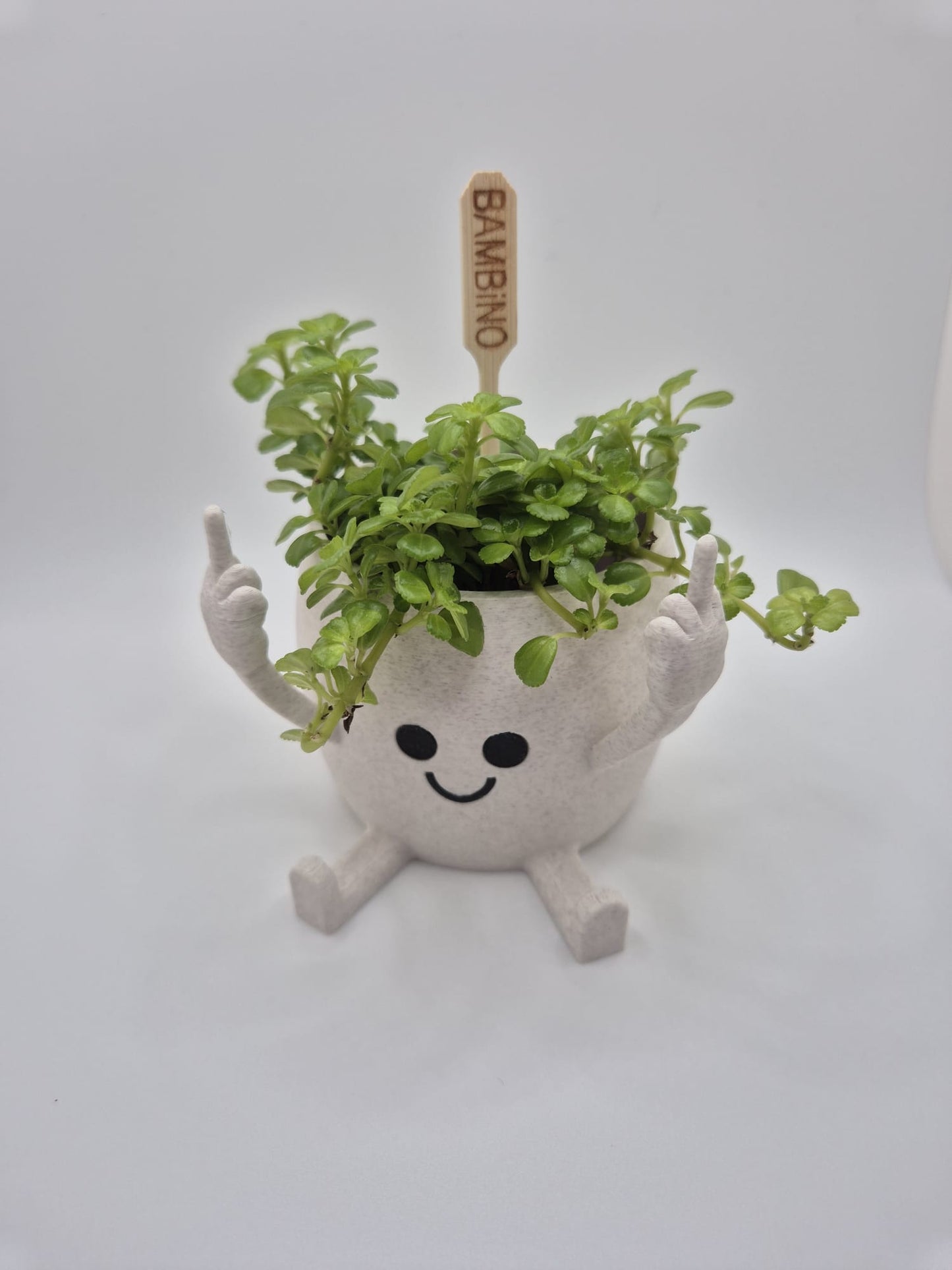 Happy Face "Middle finger" plant pot