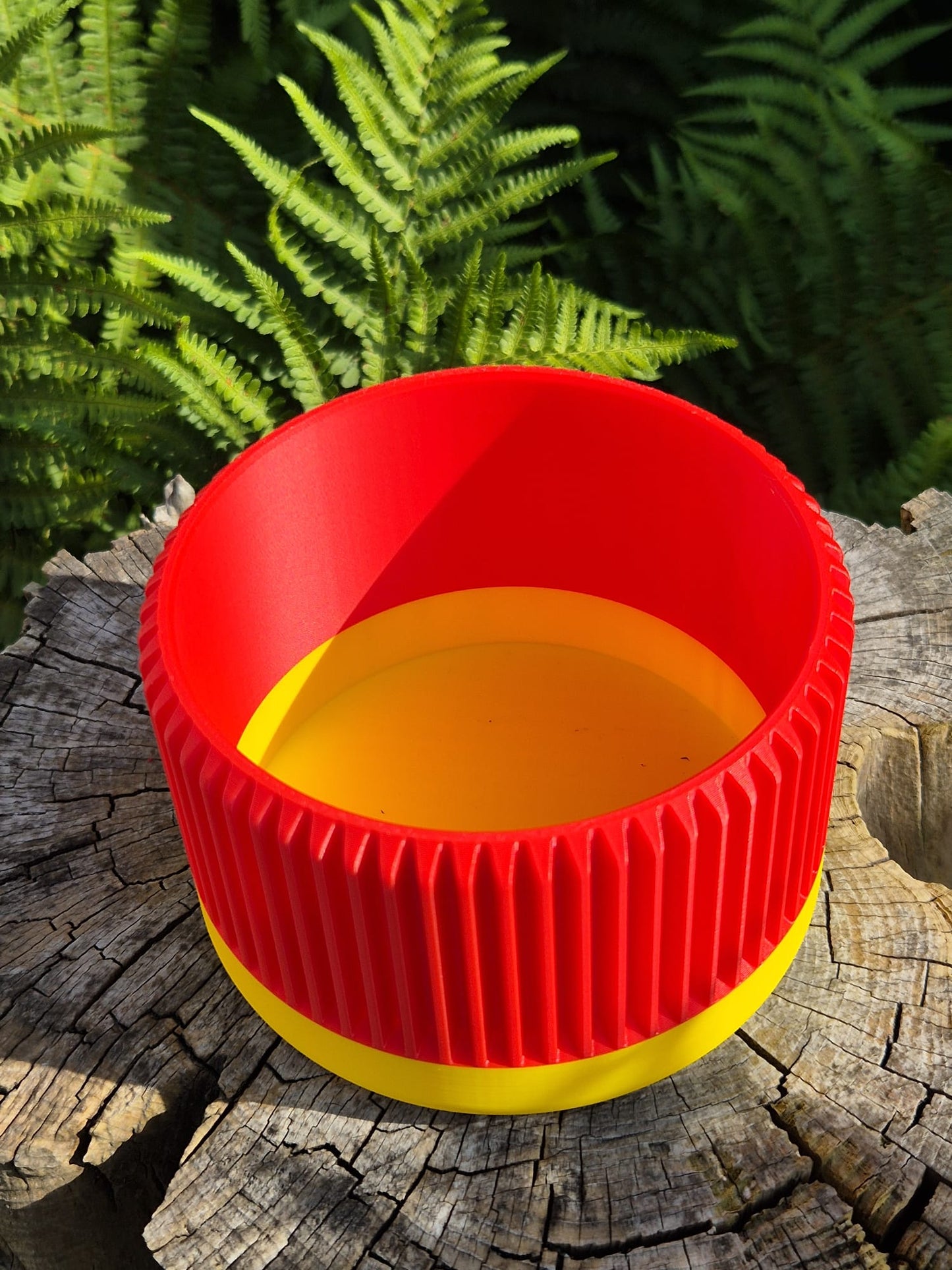 Red hot poker indoor plant pot