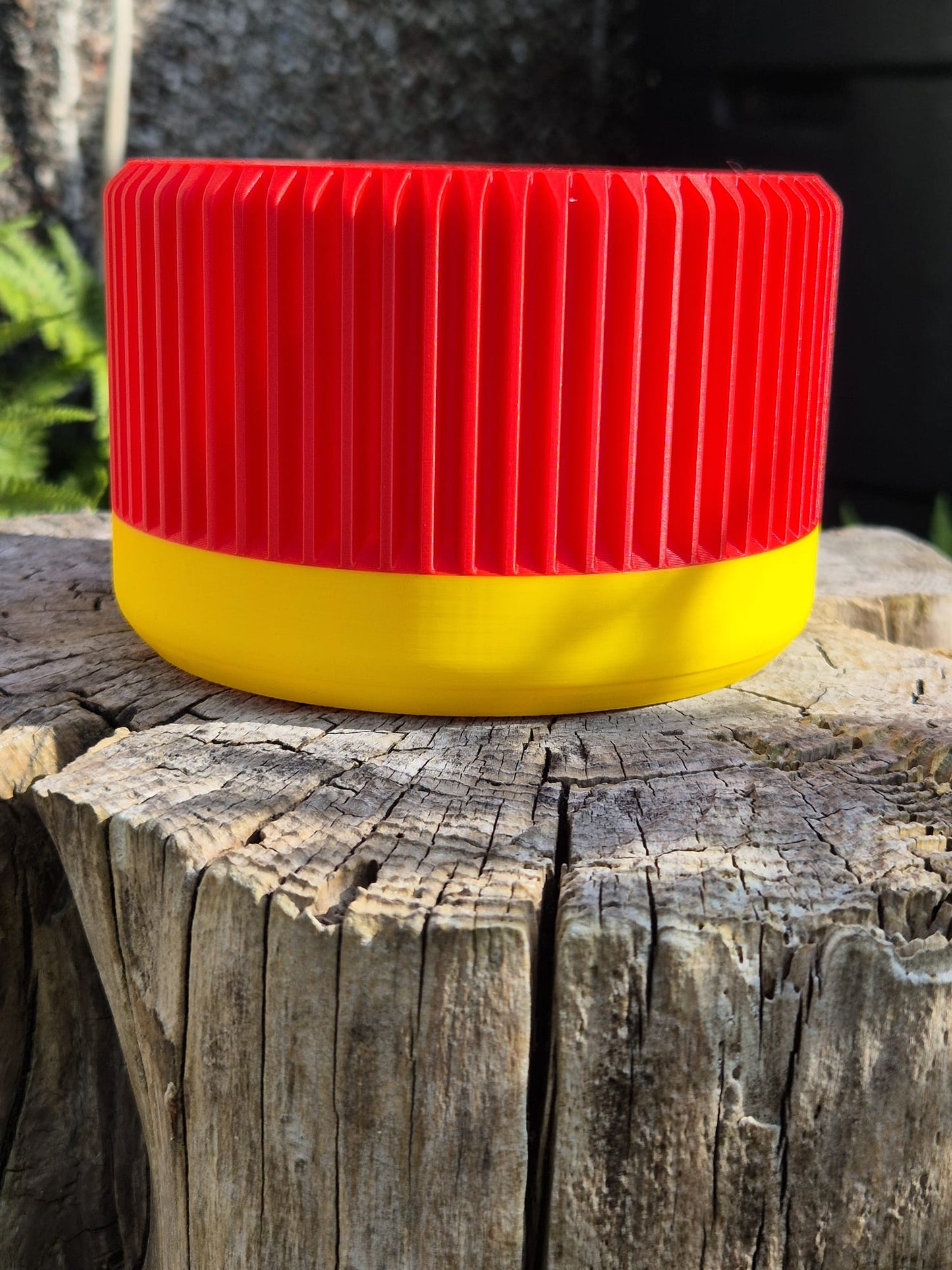 Red hot poker indoor plant pot