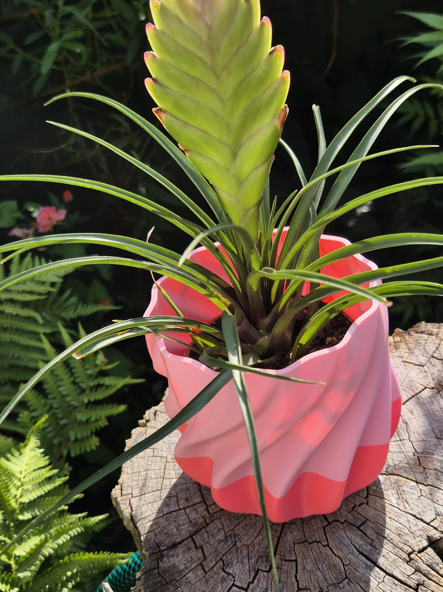 Pink flamingo indoor plant pot.