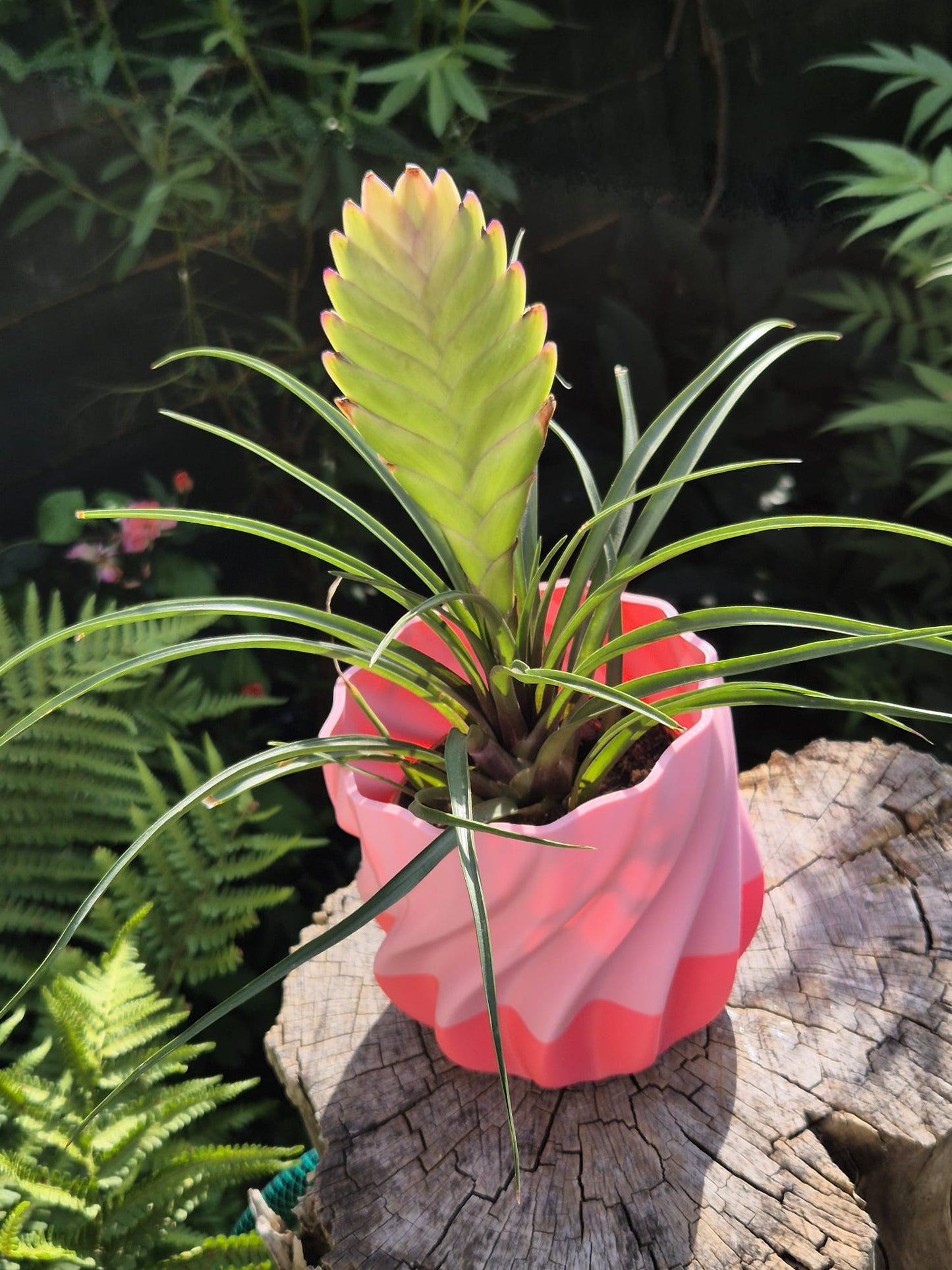Pink flamingo indoor plant pot.