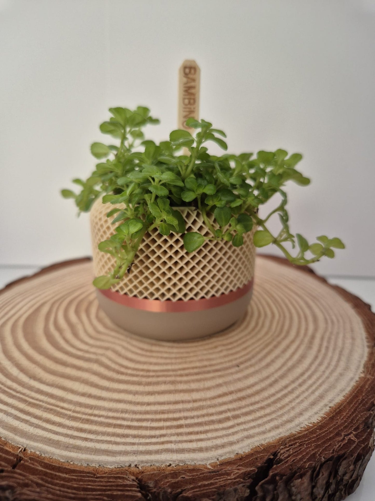 Honeycomb indoor plant pot in mocha, copper and latte colours