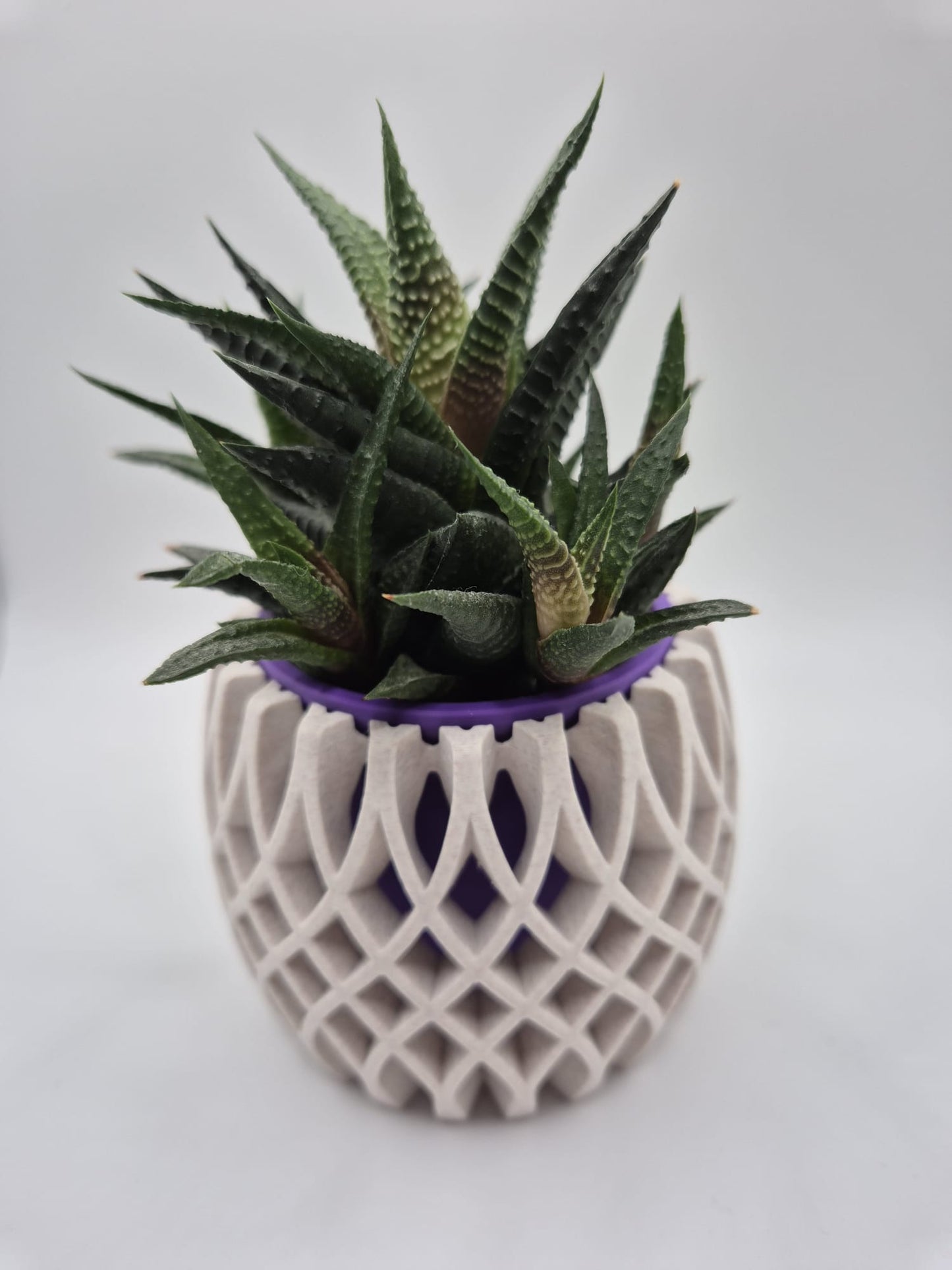 3D Printed Plant Pot & Tea Light Set | Marble Plum Lattice Design UK
