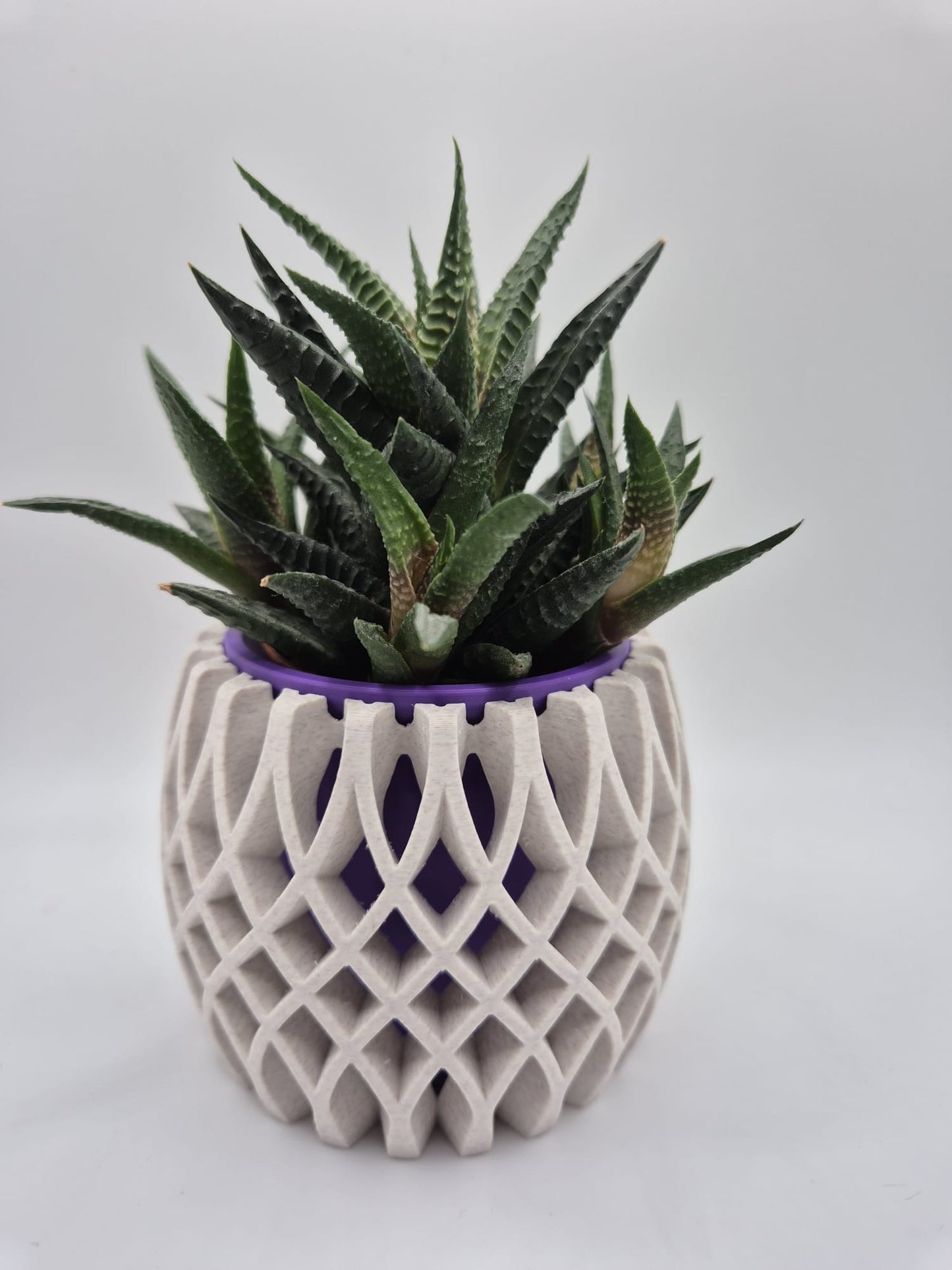 3D Printed Plant Pot & Tea Light Set | Marble Plum Lattice Design UK