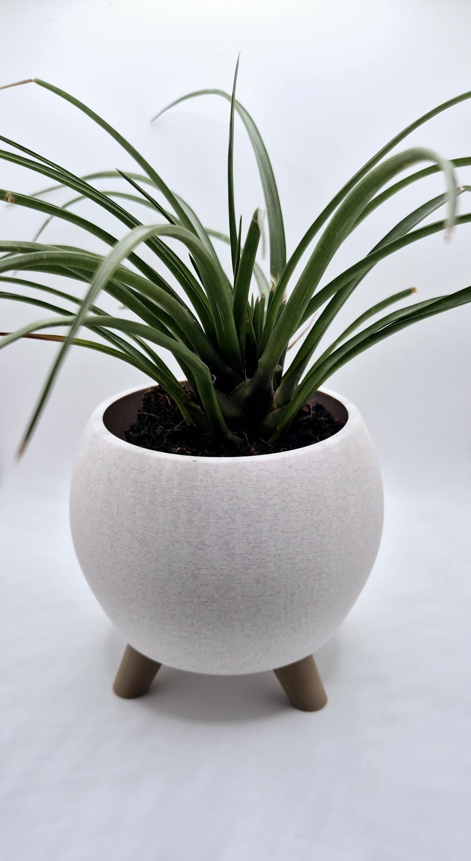 Luna Pod Planter with Legs, Modern Desk Plant Pot