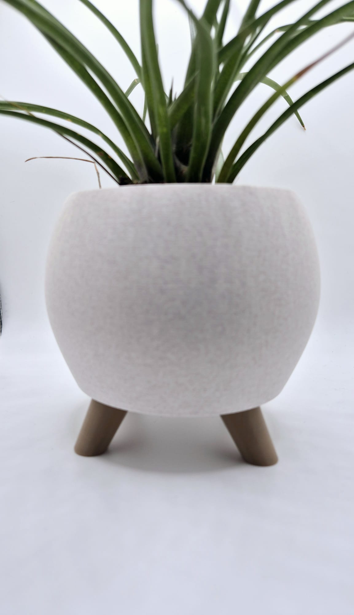 Luna Pod Planter with Legs, Modern Desk Plant Pot