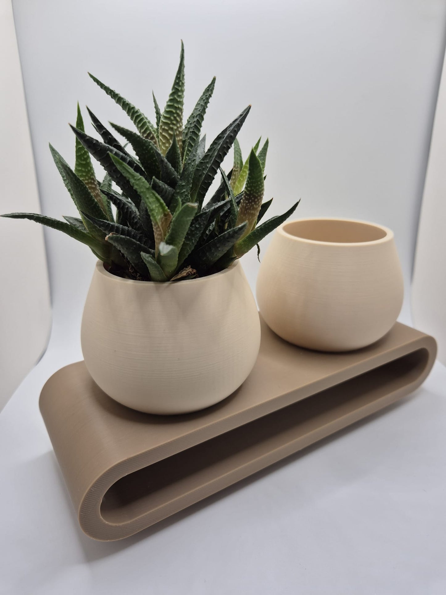Serenity Duo Planter Set | Minimal Succulent Display