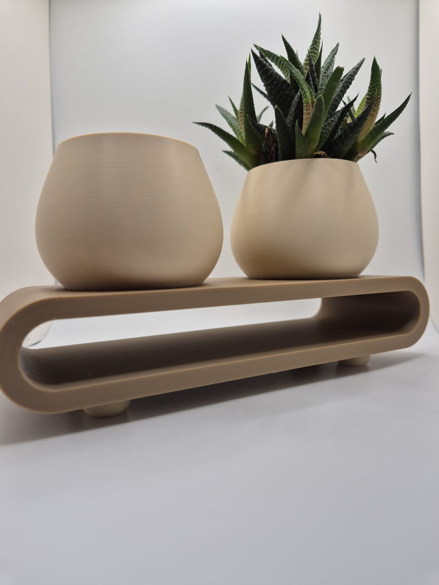 Serenity Duo Planter Set | Minimal Succulent Display