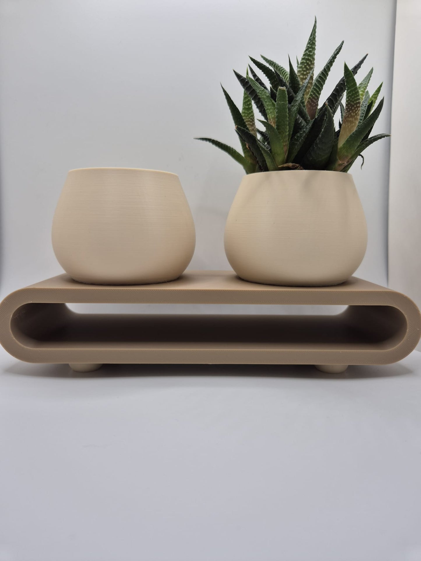 Serenity Duo Planter Set | Minimal Succulent Display