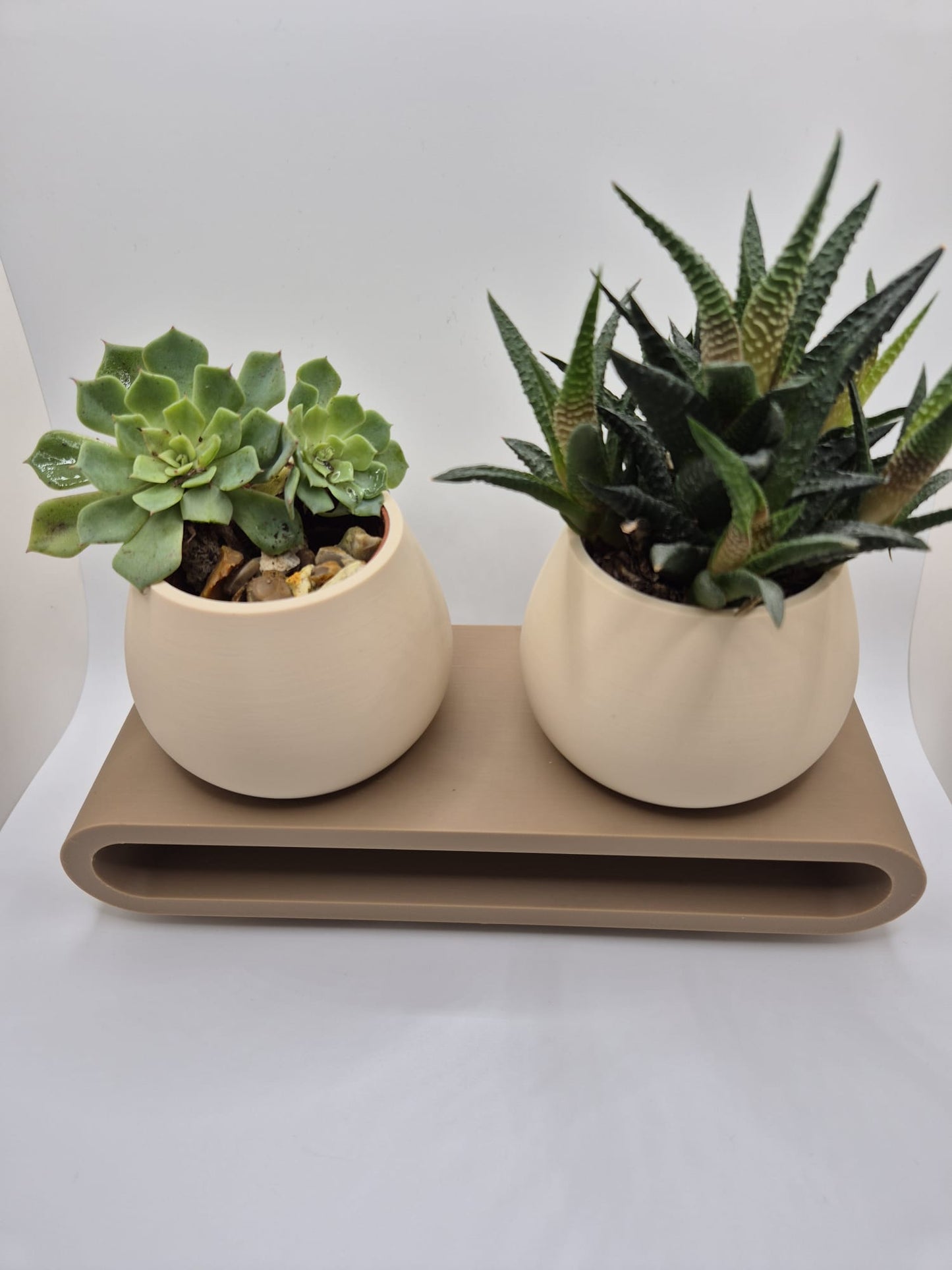 Serenity Duo Planter Set | Minimal Succulent Display
