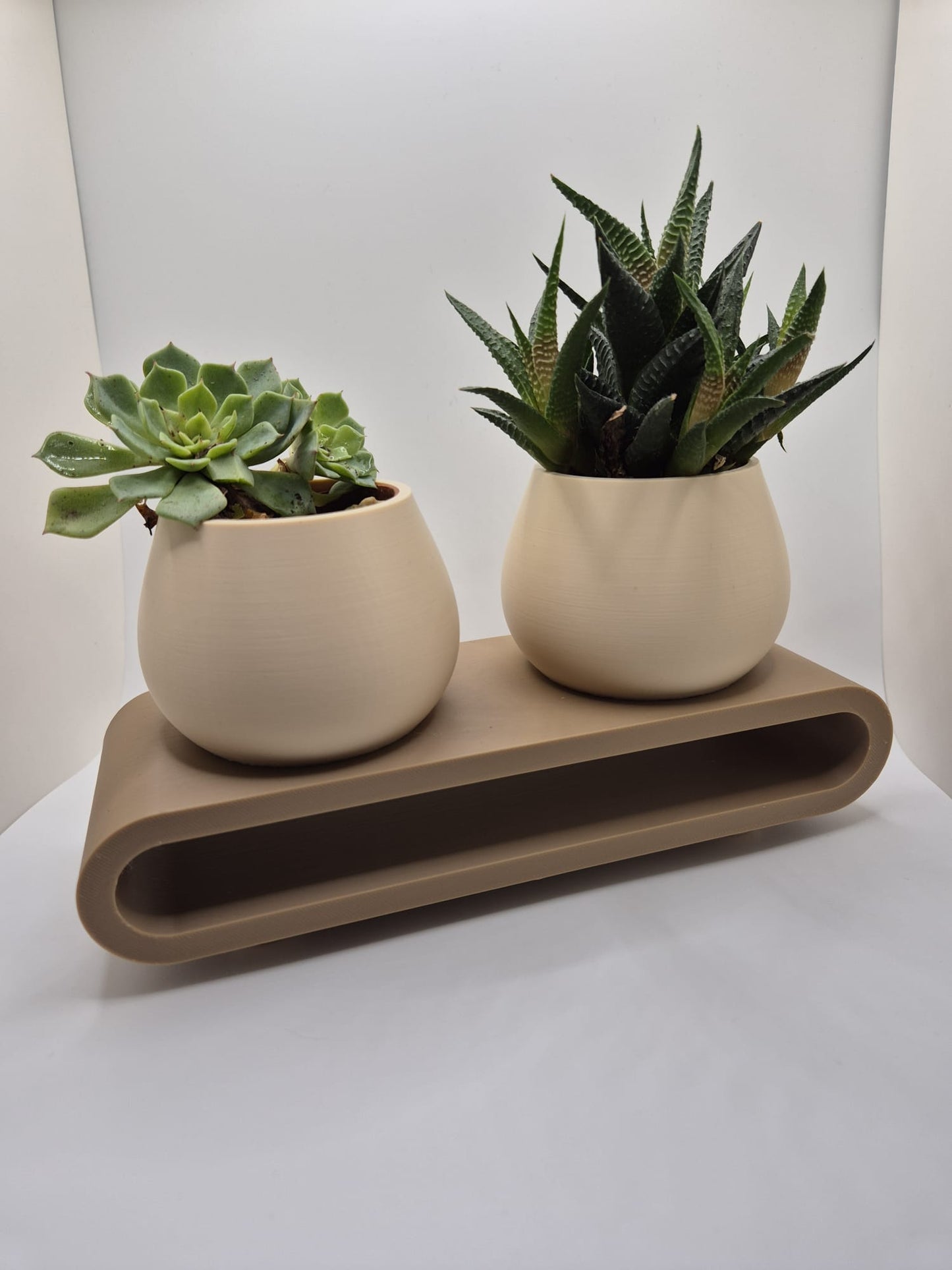 Serenity Duo Planter Set | Minimal Succulent Display