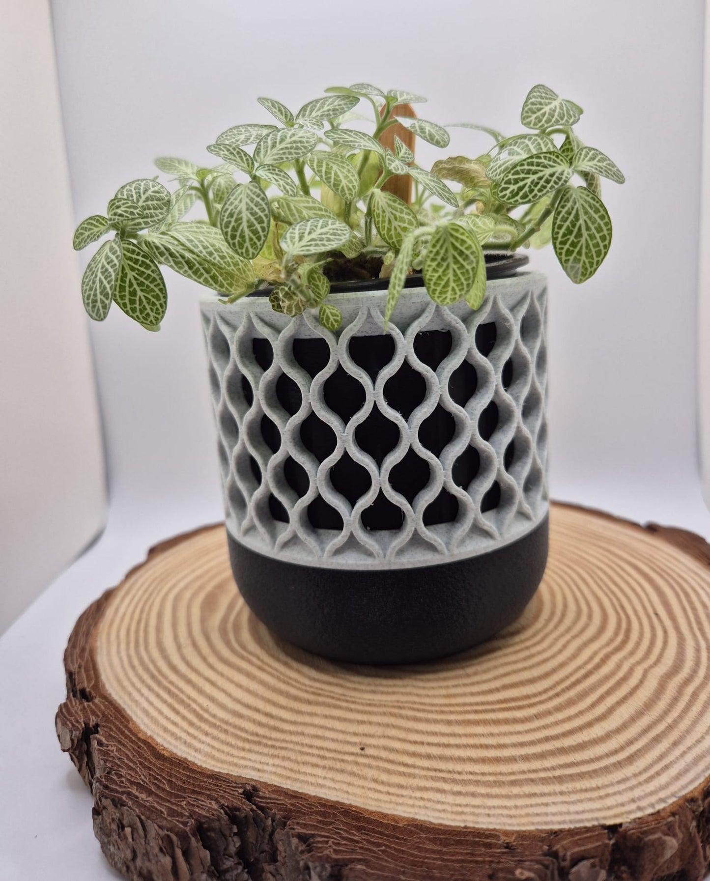 Willow Lattice indoor plant pot - 3d printed planter