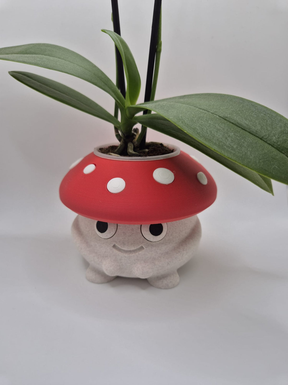 Toadstool Cuddles | Mini Mushroom Plant Pot