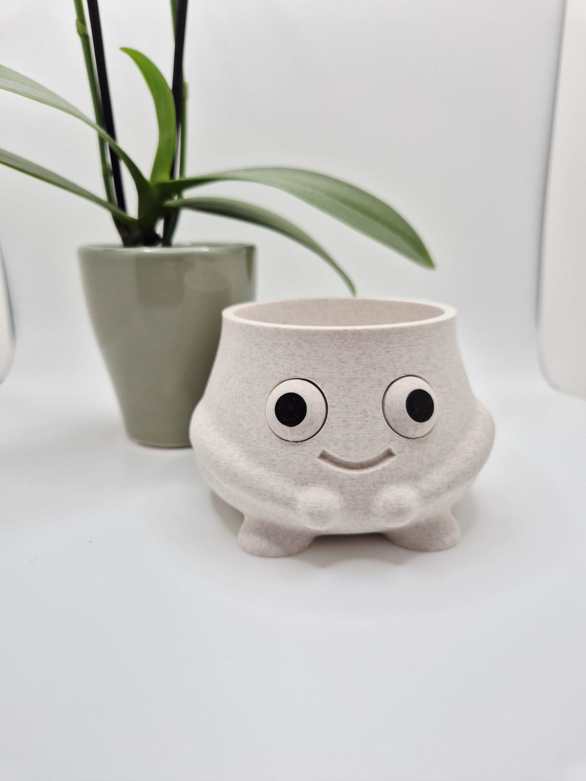 Toadstool Cuddles | Mini Mushroom Plant Pot