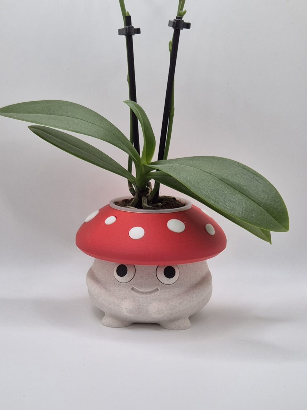 Toadstool Cuddles | Mini Mushroom Plant Pot