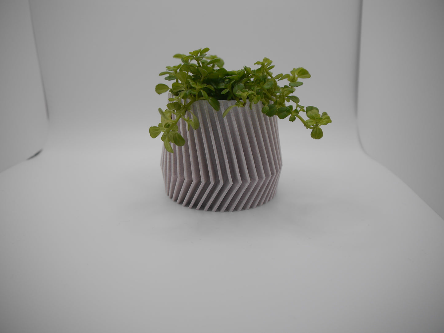 Set of 4 modern indoor plant pots