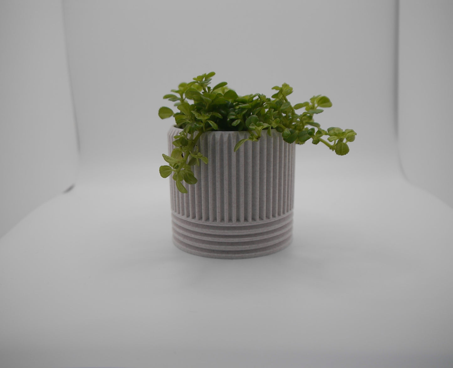 Set of 4 modern indoor plant pots
