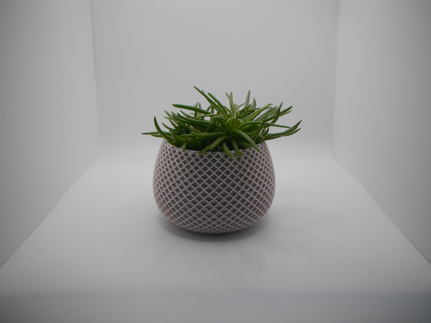 Set of 4 modern indoor plant pots
