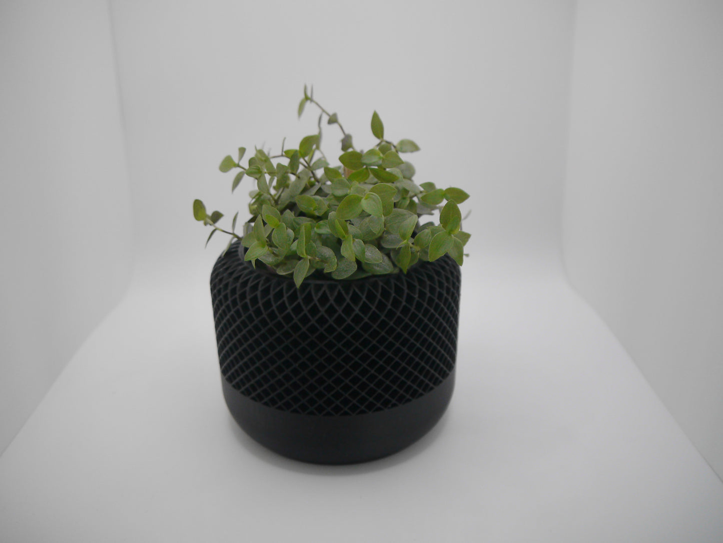 Speaker style plant pot