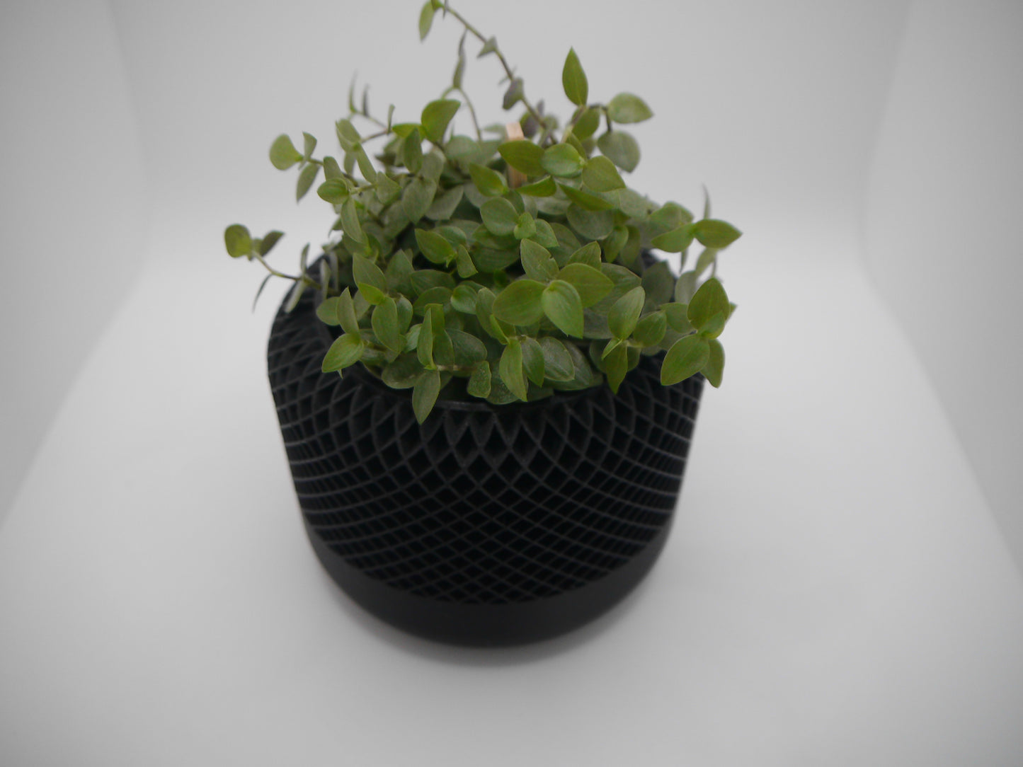 Speaker style plant pot
