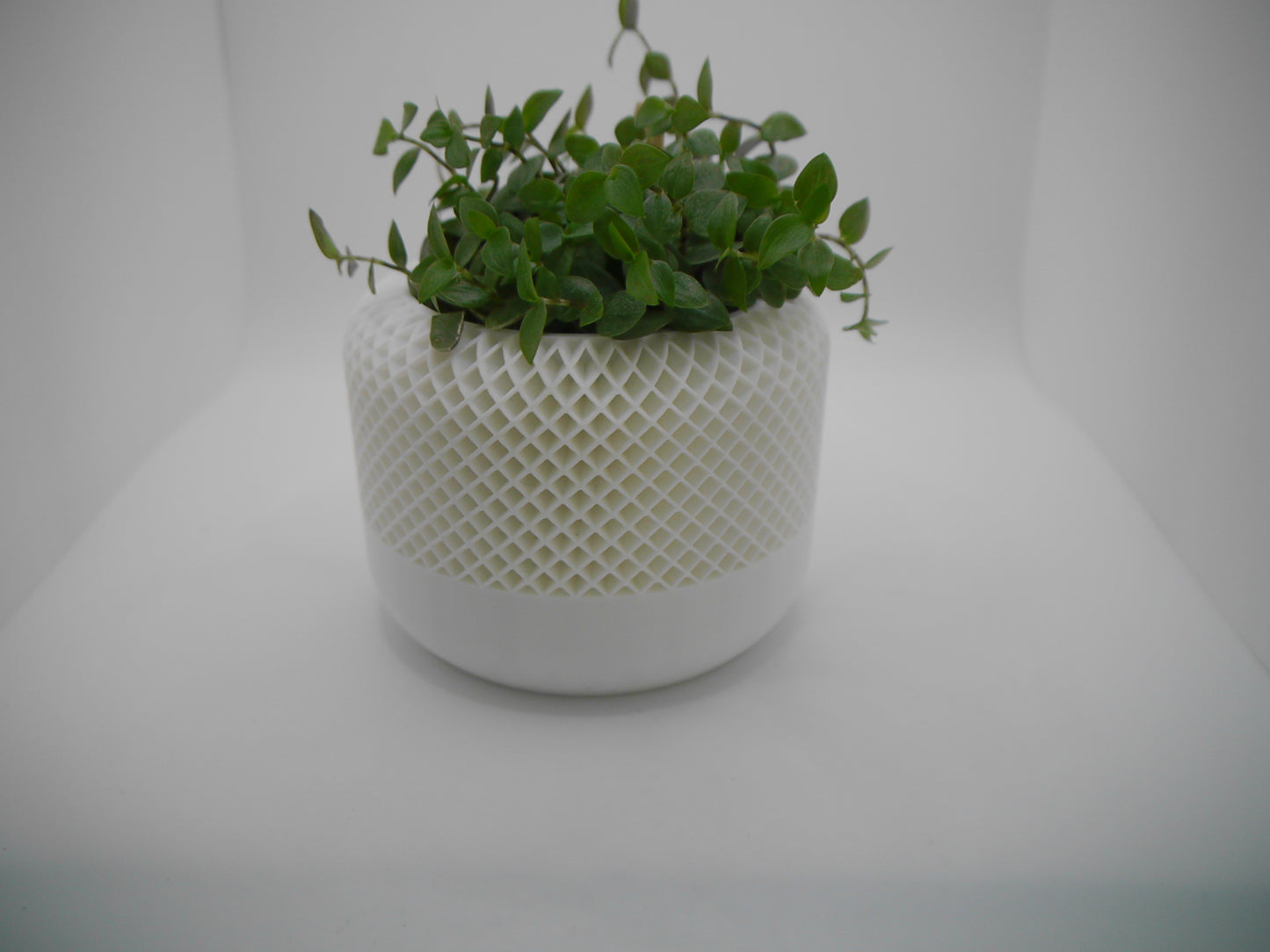 Speaker style plant pot
