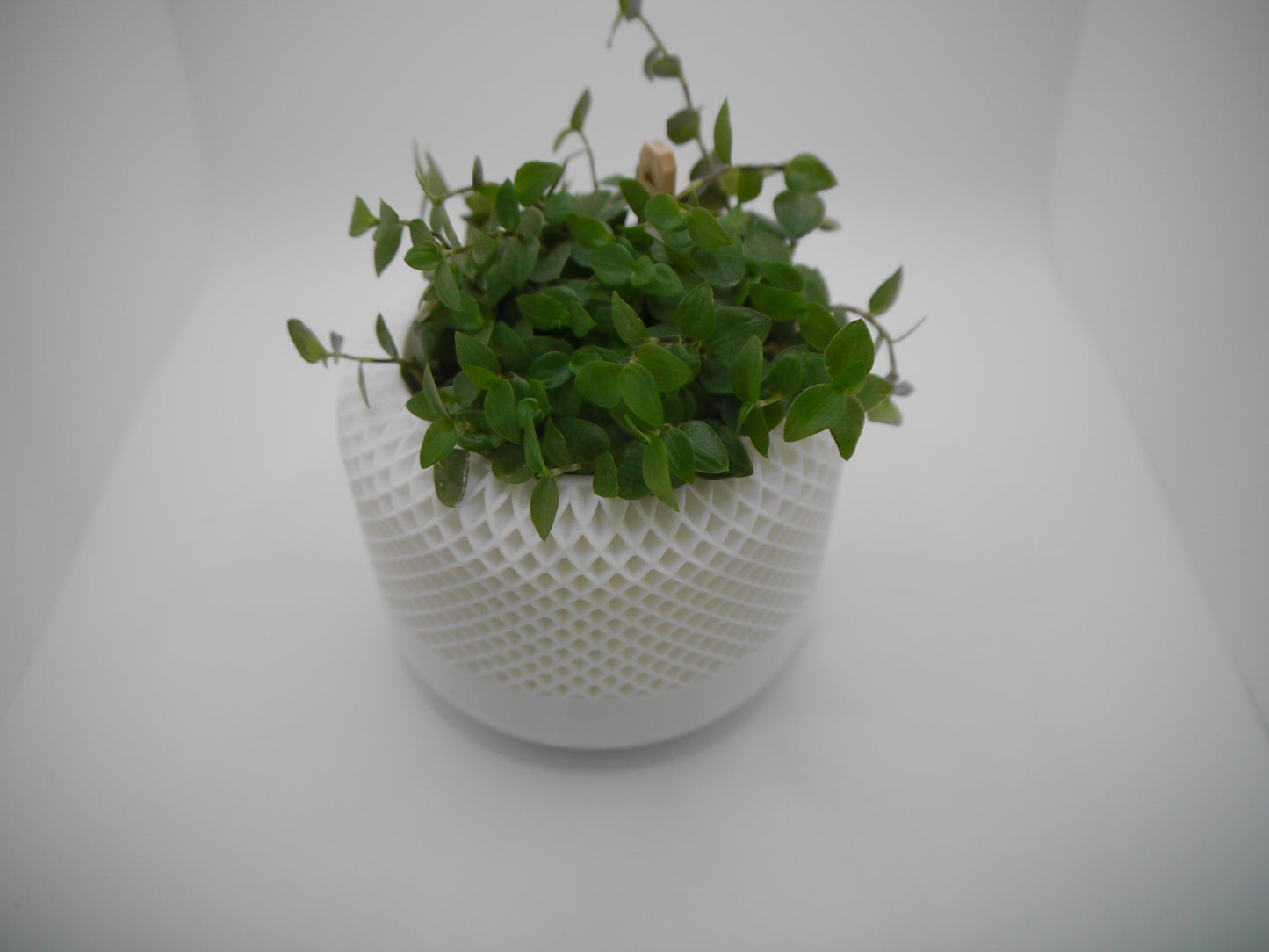 Speaker style plant pot