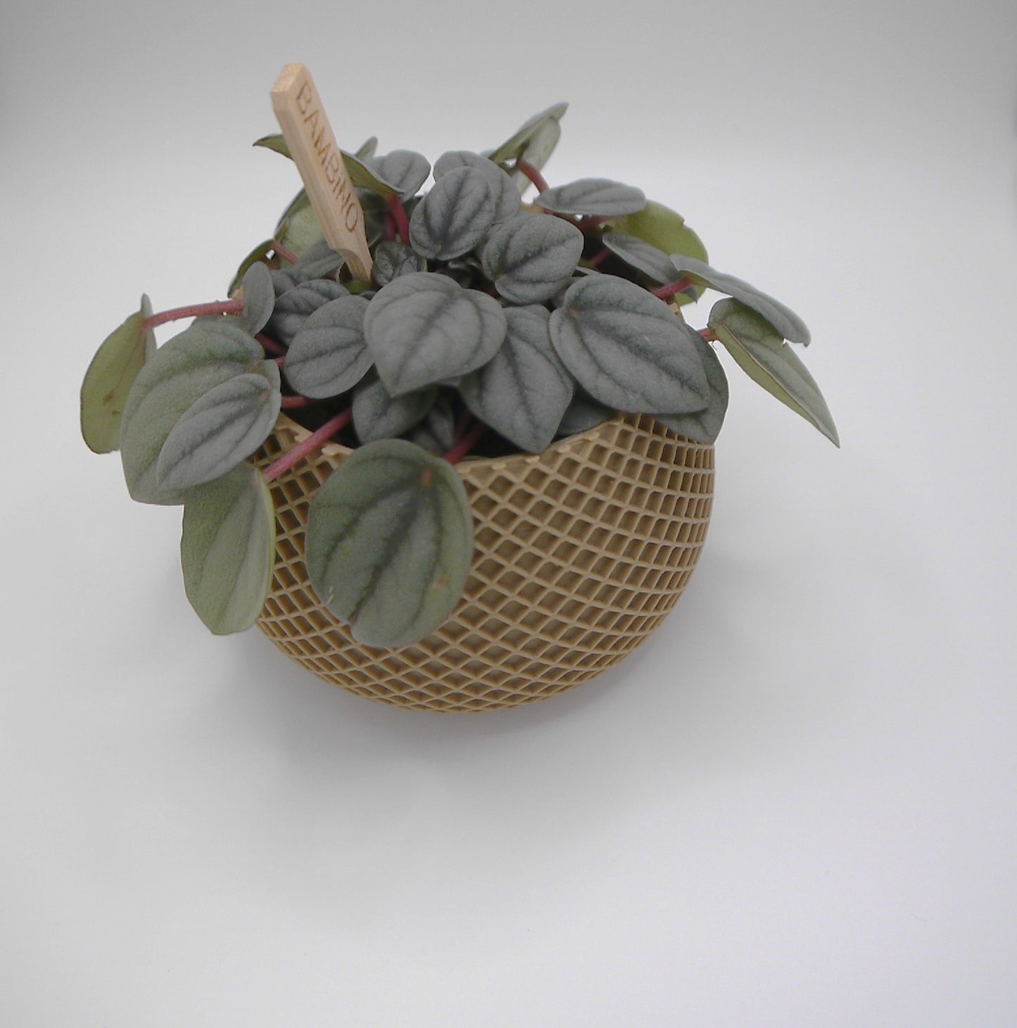Round diamond patterned plant pot