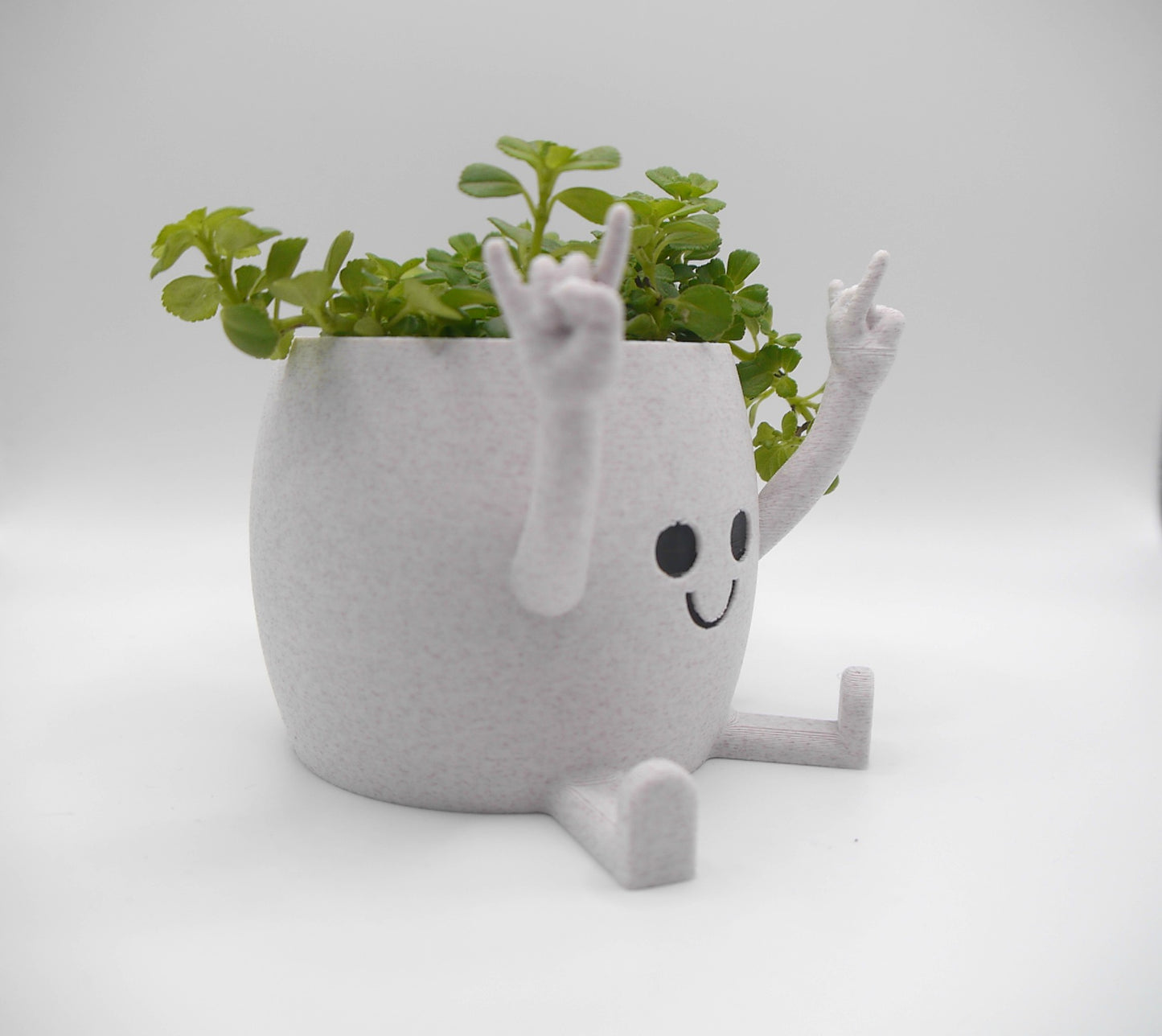 Happy Face "Rock on!" plant pot