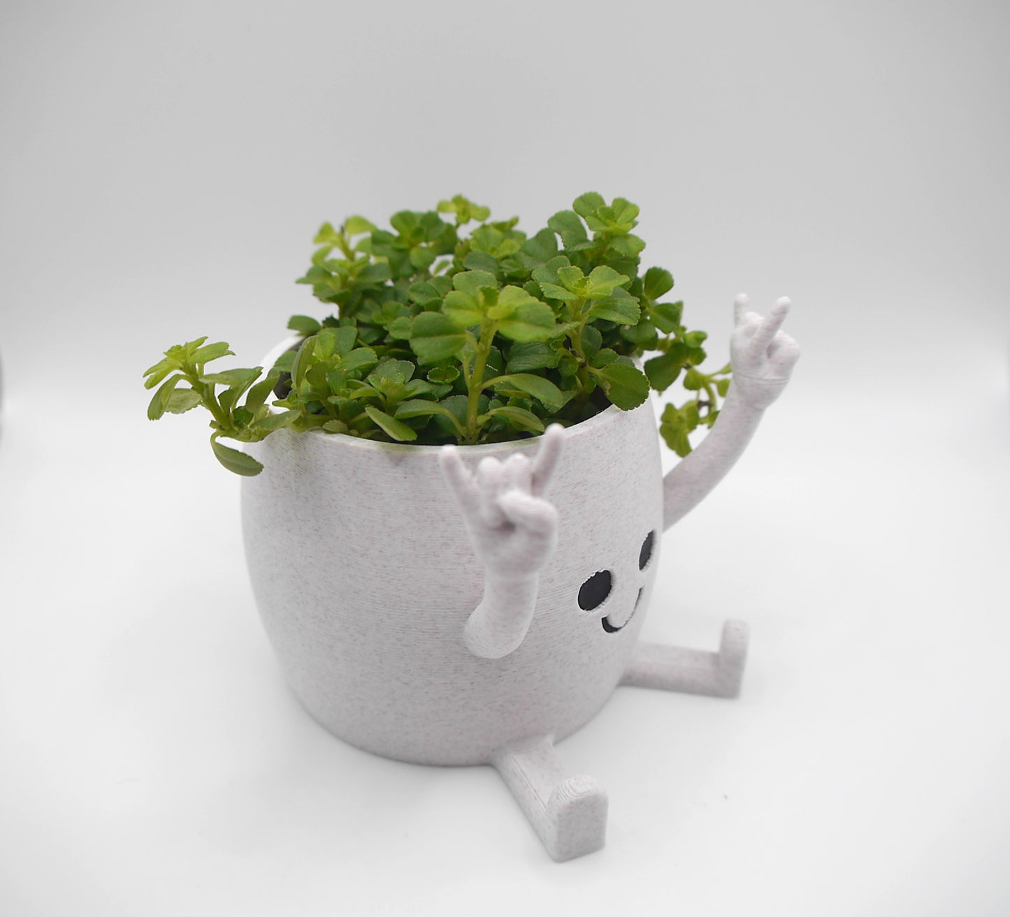 Happy Face "Rock on!" plant pot