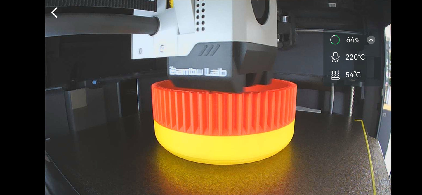 Red hot poker indoor plant pot